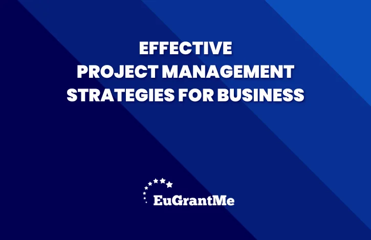 Effective Project Management Strategies for Business