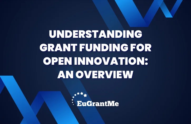 Understanding Grant Funding for Open Innovation: An Overview