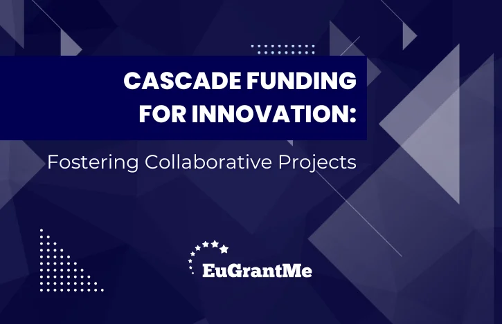 Cascade Funding for Innovation: Fostering Collaborative Projects