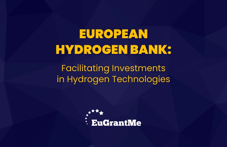 European Hydrogen Bank: Facilitating Investments in Hydrogen Technologies