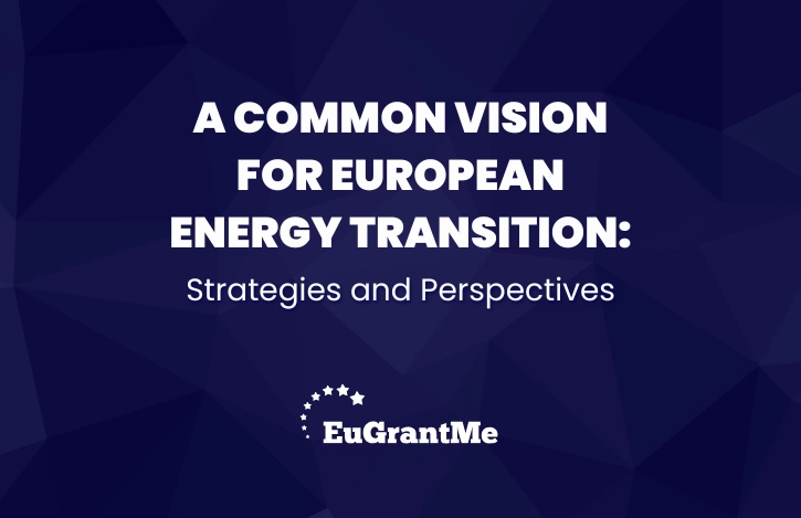 A Common Vision for European Energy Transition: Strategies and Perspectives