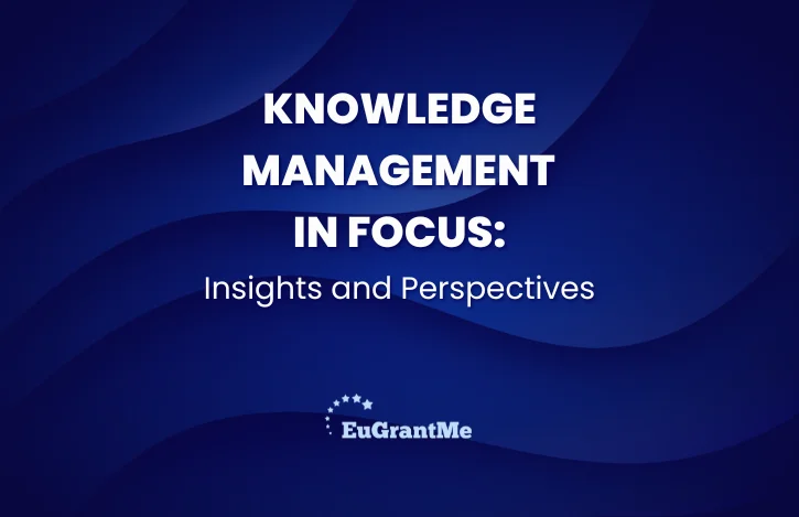 Knowledge Management in Focus: Insights and Perspectives
