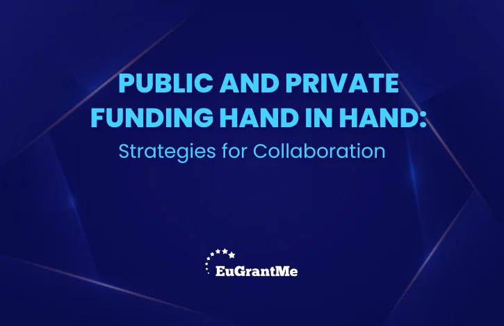Public and Private Funding Hand in Hand: Strategies for Collaboration