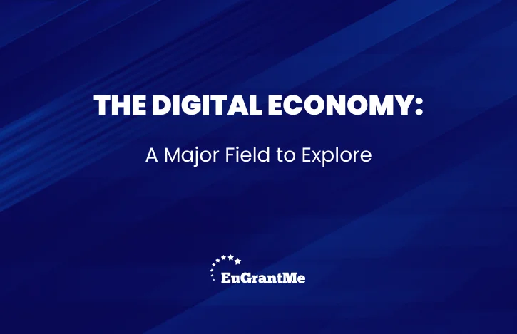 The Digital Economy: A Major Field to Explore