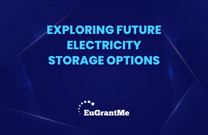 Exploring Future Electricity Storage Options