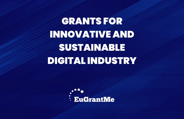 Grants for Innovative and Sustainable Digital Industry
