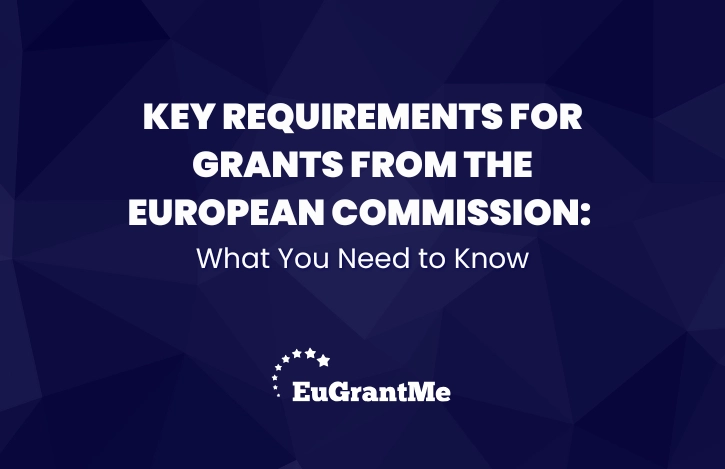 Key Requirements for Grants from the European Commission: What You Need to Know
