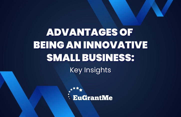 Advantages of Being an Innovative Small Business: Key Insights
