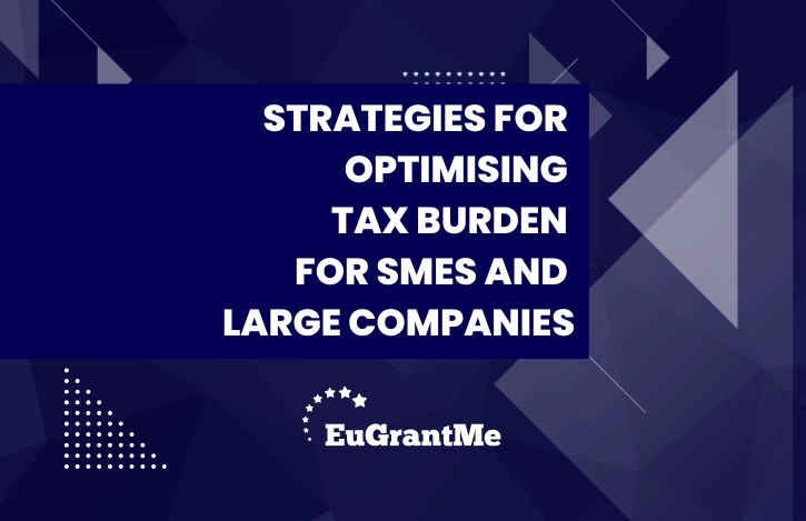 Strategies for Optimising Tax Burden for SMEs and Large Companies