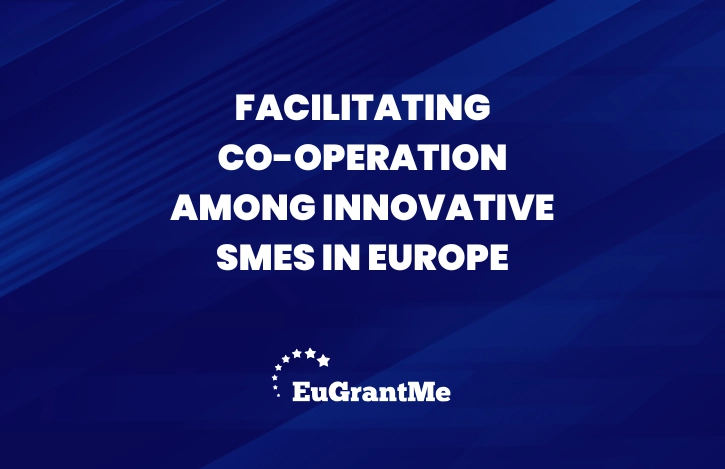 Facilitating Co-operation Among Innovative SMEs in Europe