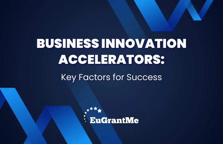 Business Innovation Accelerators: Key Factors for Success
