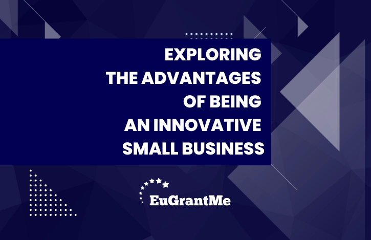 Exploring the Advantages of Being an Innovative Small Business